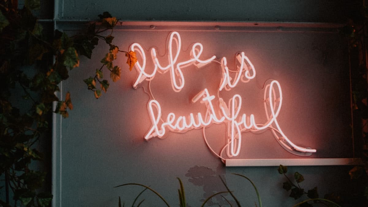 SDR Metrics That Actually Matter (and the Ones That Don't)